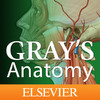 Gray’s Anatomy Head and Neck for iPad