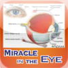MIRACLE IN THE EYE : Perfect Design , The Eyed and Technology , Animal and Insect Eyes ,The eye's focusing mechanism