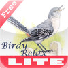 Birdy Relax Lite