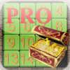 4by4PuzzlePro
