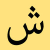 The Arabic grammar