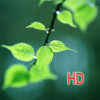 iGreen HD