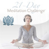Chopra Center 21 Day Meditation Challenge - Soul Profile