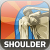 Healthy Shoulder