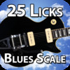 25 Blues Scale Licks with Joseph Alexander