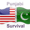 Punjabi Survival Guide