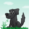 My Talking Pets- take photos, upload and share your videos to social networks