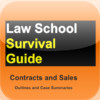 Teller Books Law School Survival Guide: Contracts and Sales