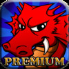 Angry Dragons Premium