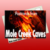 Postcards from Mole Creek Caves