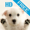 iDog HD(free)
