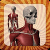 Anatomy Muscle and Bone: Visual Game & Dictionary