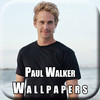 Wallpapers Paul Walker Edition
