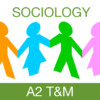 Sociology Theory and Methods A2