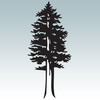 RedwoodWatch