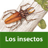 El mundo de los insectos. Enciclopedia Visual de las Preguntas