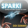DDI Summit 2012