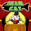 Brain Cat