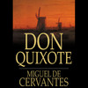 Don Quixote part2