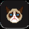 Bumpy Cat - Grumpy Cat Edition FREE
