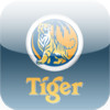 Tiger Beer HD
