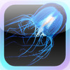 Jellyfish Encyclopedia