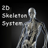 2D/3D Skeletal System