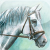 Horse Matching - Puzzle Match Game