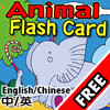 Flash Card - Animal I Free