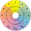 Chord Wheel (Compose,Transpose,Improvise)
