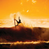 Surf Sync - Surfing News