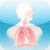 Asthma Terminology