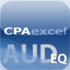 CPAexcel AUD Exam Questions | CPAexcel CPA Exam Review