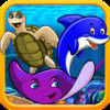 Sea World Shell Quest!