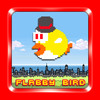 Flabby Bird-Run of The 8bit Hamster and Angry Fire