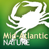 Audubon Nature Mid-Atlantic - The Ultimate Mid-Atlantic Nature Guide