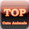 Top Ten Cute Animals