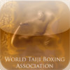 World Taiji Boxing Association