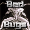 Bed Bugs Help
