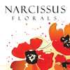 Narcissus Florals