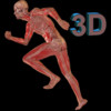 Human Body 3D for iPad