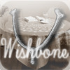 i-Wishbone
