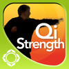 Develop Qi Strength and Power - John P. Milton