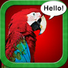 Teach Your Parrot To Talk - The Bird Training App
