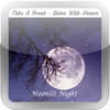 Moonlit Night