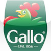 Guida Gallo IX - The best 101 Risotti in the world