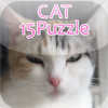 CAT15Puzzle