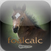 FoalCalc