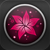 Lily Pro (Fertility and Period Tracker)