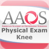 Musculoskeletal Exam-Knee